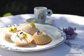 Image result for visitandines