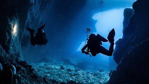 Image result for Deep Blue Diving