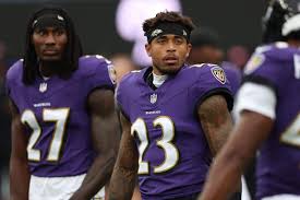 Image result for Merseyside Ravens