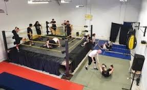 Image result for Cork Thai Boxing Club