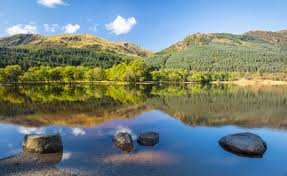 Image result for Highland Flingers