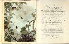 Attēlu rezultāti vaicājumam “Aranei”