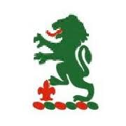 Image result for Ballinger Waggoners Cricket Club