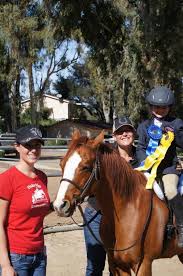 Image result for Abinger Forest Riding Club