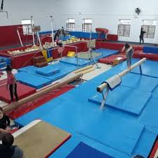 Image result for Gym Stars