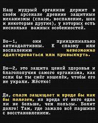 Картинки по запросу белку зажевало в диск