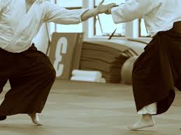 Image result for Aikido - Shobu UK