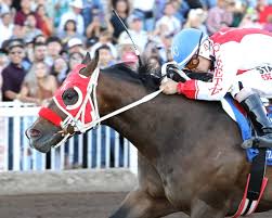 Image result for Epsom Z-Tri