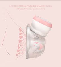 Image result for brust pumpe