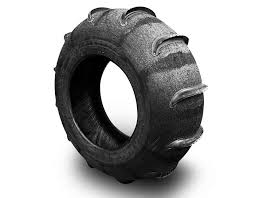 Image result for sand paddle tyre