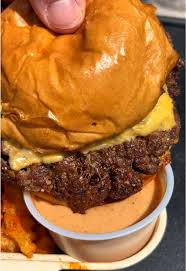 Image result for Worcester Dominies & Guild Cc