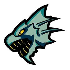 Image result for Cambridge Floorball Club