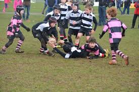 Image result for Dumfries Rugby Football Club