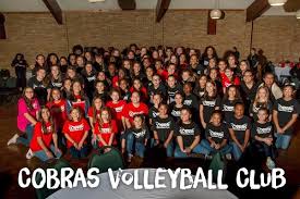 Image result for Cheltenham Cobras Volleyball Club