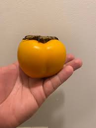 Image result for sharon fruit