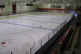 Image result for Aberdeen Linx Skating Club