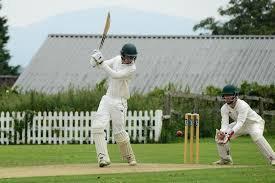 Image result for Dumbleton Cc