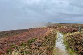 Image result for Carlton Moor Gliding Club Ltd