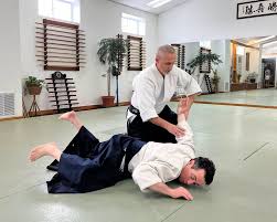 Image result for Southport Muto Aikido Club