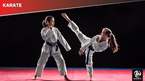 Image result for Full Element Mixed Martial Arts