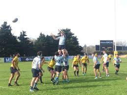 Image result for Macclesfield Rugby Union Football Club