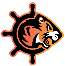 Image result for Tiger Bay Brawlers Roller Derby Team