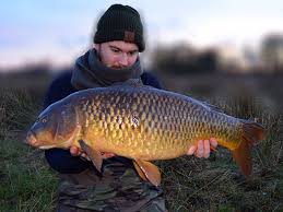 Image result for Byfleet Angling Association