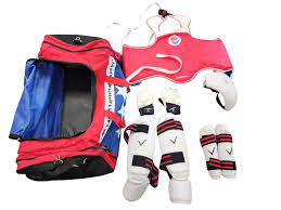 Image result for Vision Martial Arts