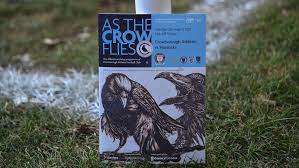 Image result for Crowborough Athletic Football Club