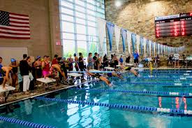 Image result for Gosport Dolphins Swimming Club