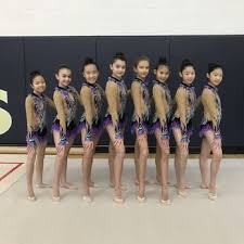 Image result for York University Gymnastics Club