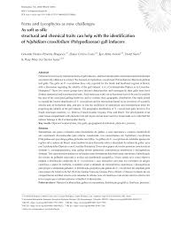 Attēlu rezultāti vaicājumam “Sacchiphantes abietis exuvia”