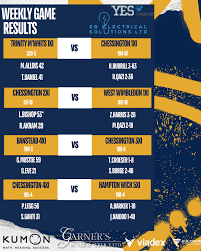 Image result for Chessington C C Badminton Club