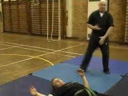 Image result for Total Body Defence Goshinkwai