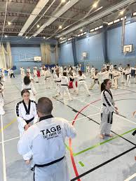 Image result for Newbury TAGB Tae Kwon-Do (Juniors)