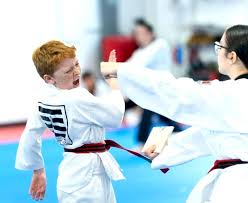 Image result for Taekwondo Witney