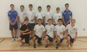 Image result for Lincolnshire Badminton Club