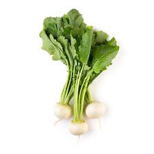 Image result for Rettich