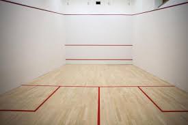 Image result for The Squash Club (Cranleigh)