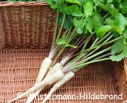 Image result for Pastinake