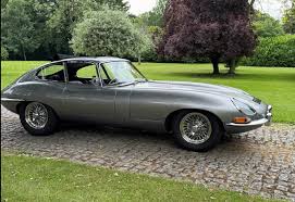 Image result for Warwick Gray 1965 Jaguar
