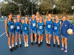 Image result for Waverley Netball Club