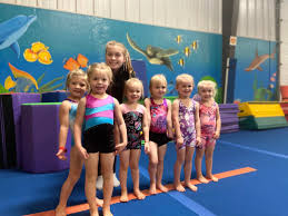 Image result for Fish trampoline and gymnastics club