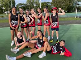 Image result for Aylesbury Jnl Netball Club