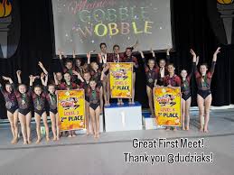 Image result for Sankey Springers Gymnastics Club