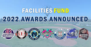 Image result for Norwich Iceni Baseball Club