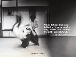 Image result for Aikido - Shobu UK (Newton in furness)