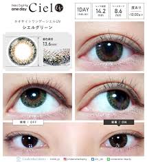 「ネオサイトワンデーシエル」の画像検索結果