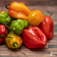 Afbeeldingsresultaat voor aji habanero hot pepper