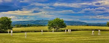 Image result for Steyning Cricket Club
